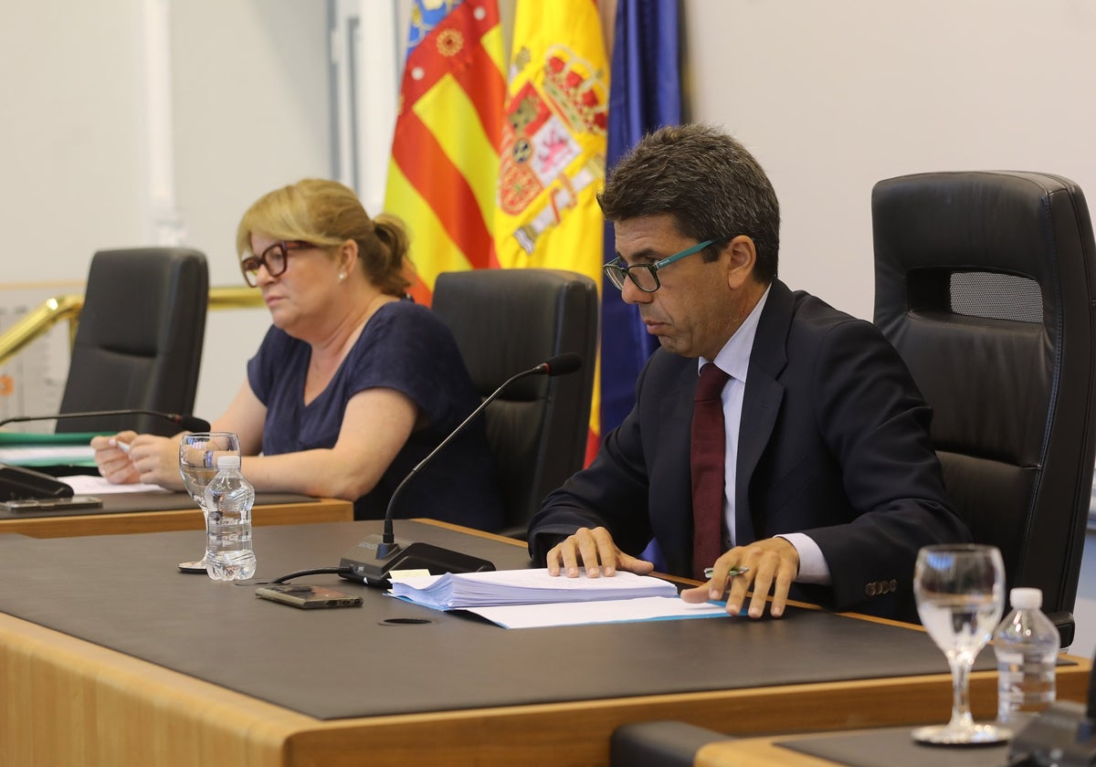 El presidente y la vicepresidenta de la Diputación de Alicante, Carlos Mazón y Ana Serna, en el Pleno de este miércoles