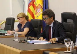La Diputación de Alicante resuelve el bono consumo con 20 millones de euros ante la subida de la cesta de la compra