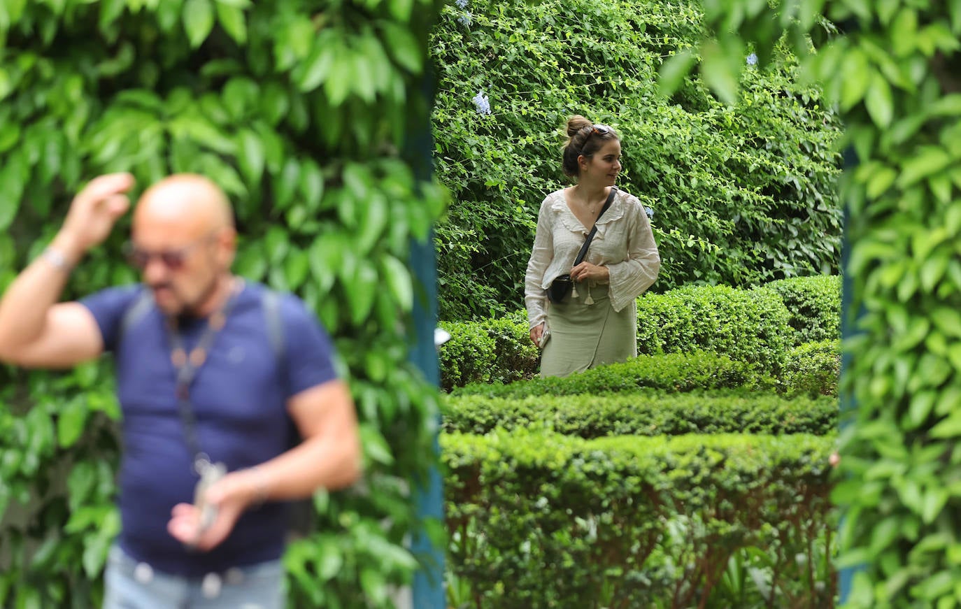 Patios Córdoba 2023 | El Palacio de Viana, en imágenes