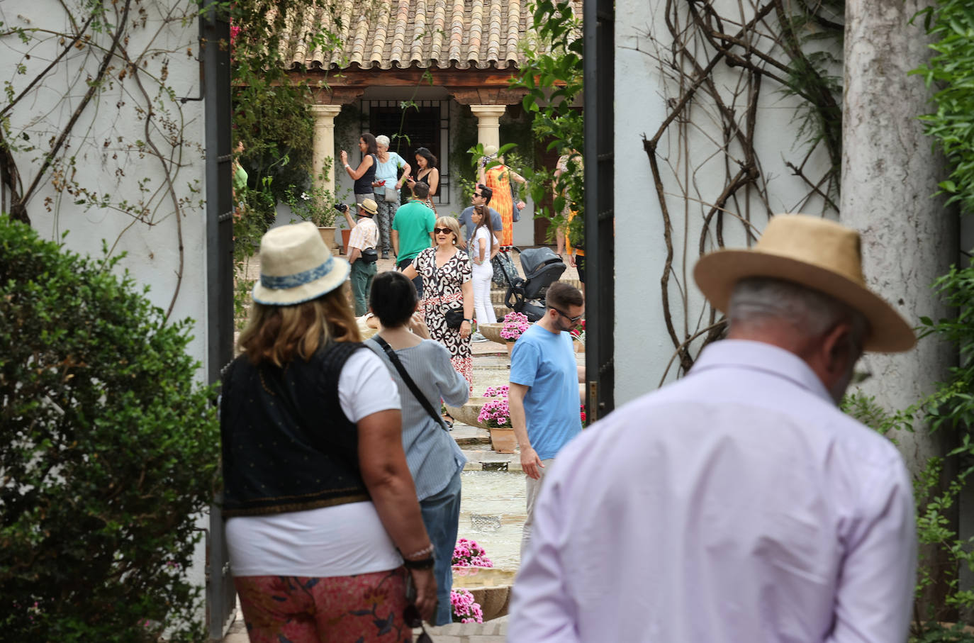 Patios Córdoba 2023 | El Palacio de Viana, en imágenes