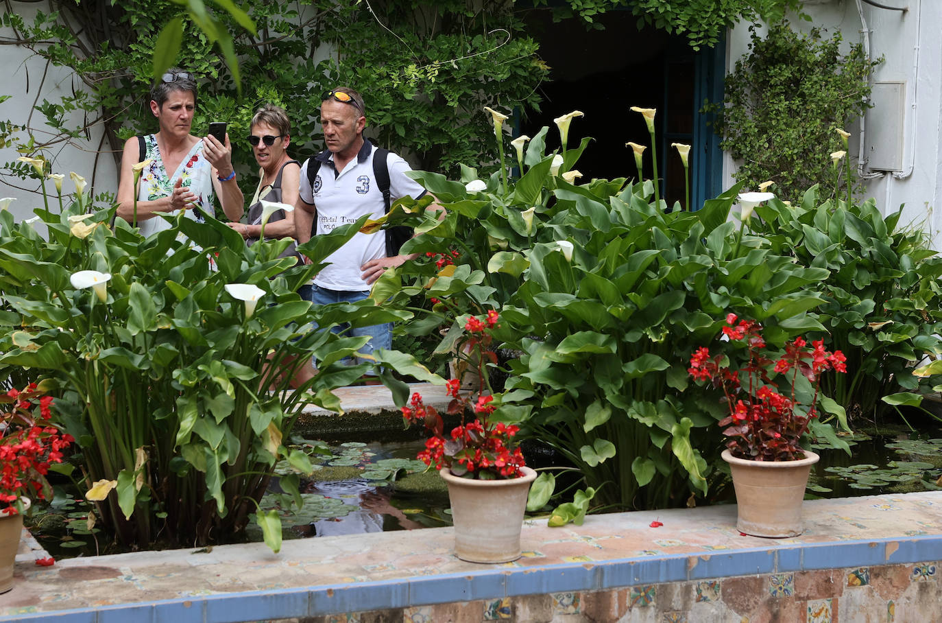 Patios Córdoba 2023 | El Palacio de Viana, en imágenes
