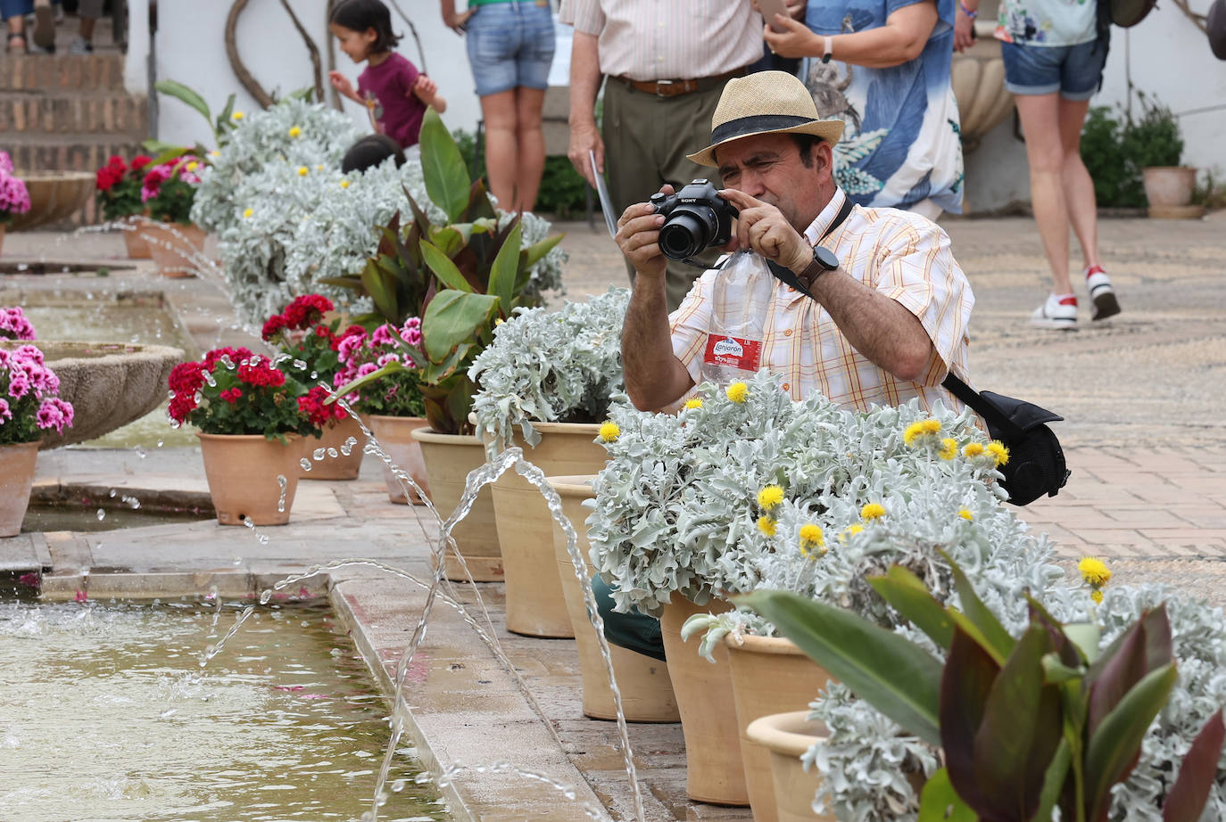 Patios Córdoba 2023 | El Palacio de Viana, en imágenes