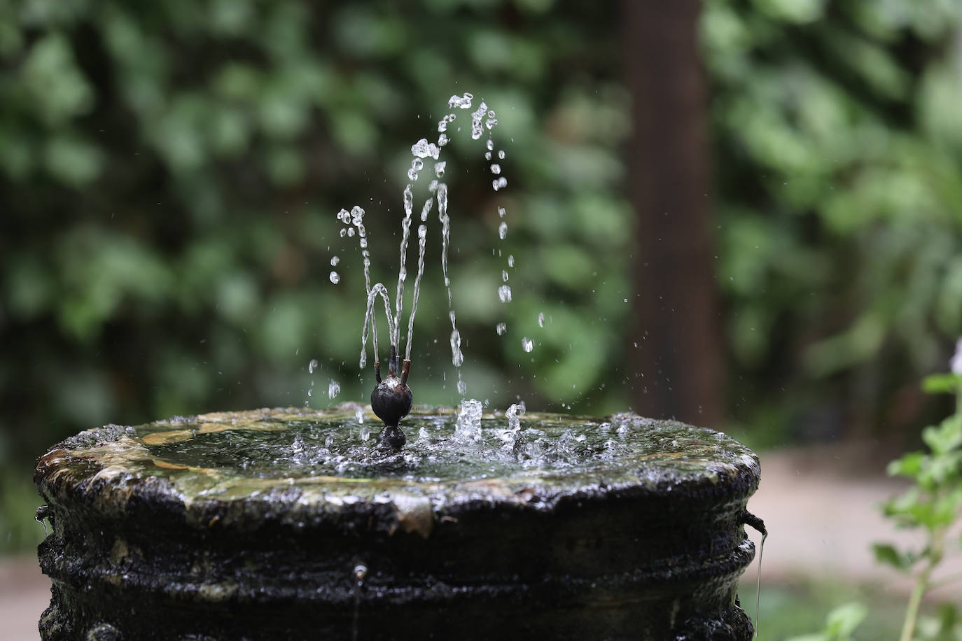 Patios Córdoba 2023 | El Palacio de Viana, en imágenes