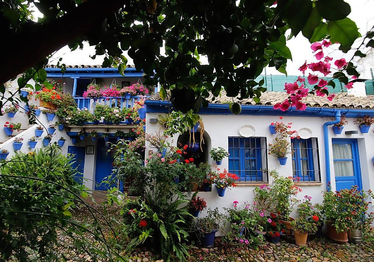 El patio de San Juan de Palomares, 11, es el más premiado