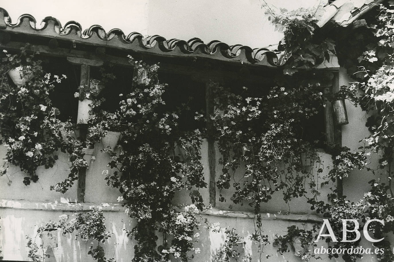 Así eran los Patios de Córdoba hace un siglo, en imágenes