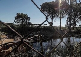 El PP retirará la Ley de regadíos de Doñana si alguien encuentra en ella un perjuicio al parque