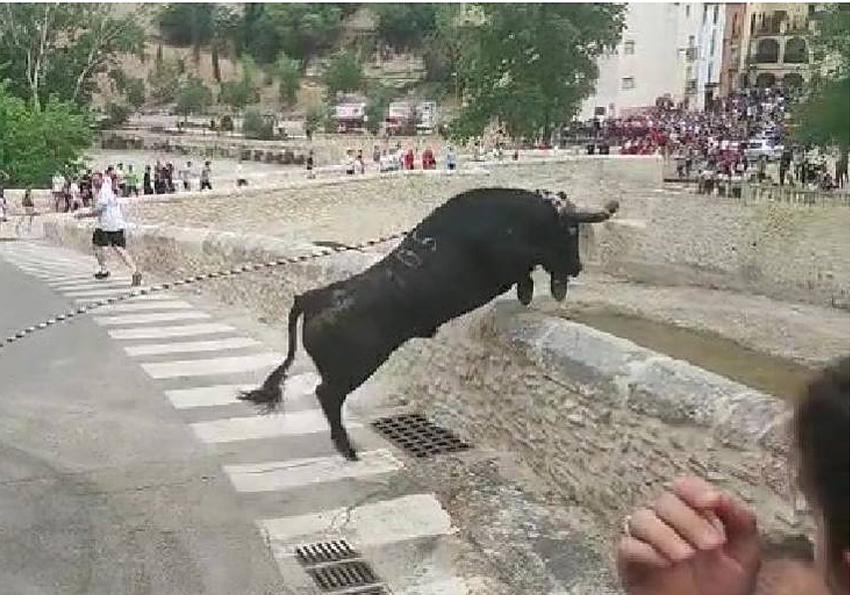 Imagen del toro saltando el muro antes de caer al vacío en el río Clariano