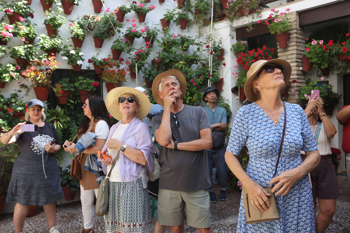 Patios de Córdoba 2023 | La exuberante ruta de San Basilio, en imágenes