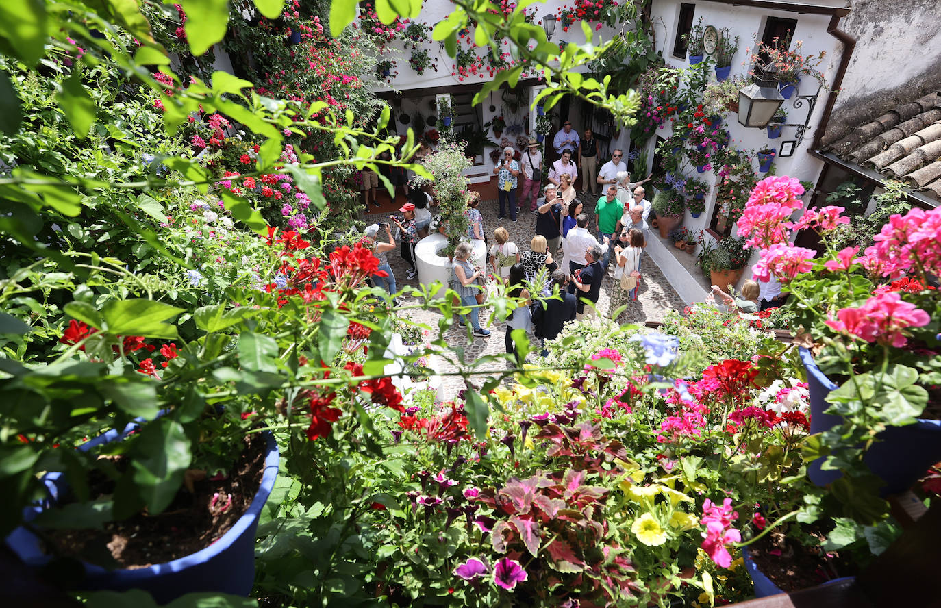 Patios de Córdoba 2023 | La exuberante ruta de San Basilio, en imágenes