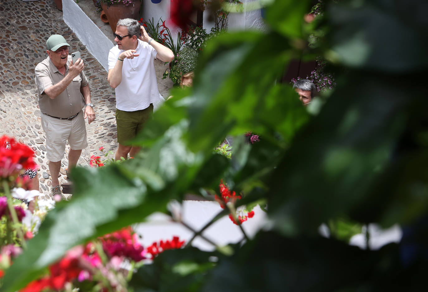 Patios de Córdoba 2023 | La exuberante ruta de San Basilio, en imágenes