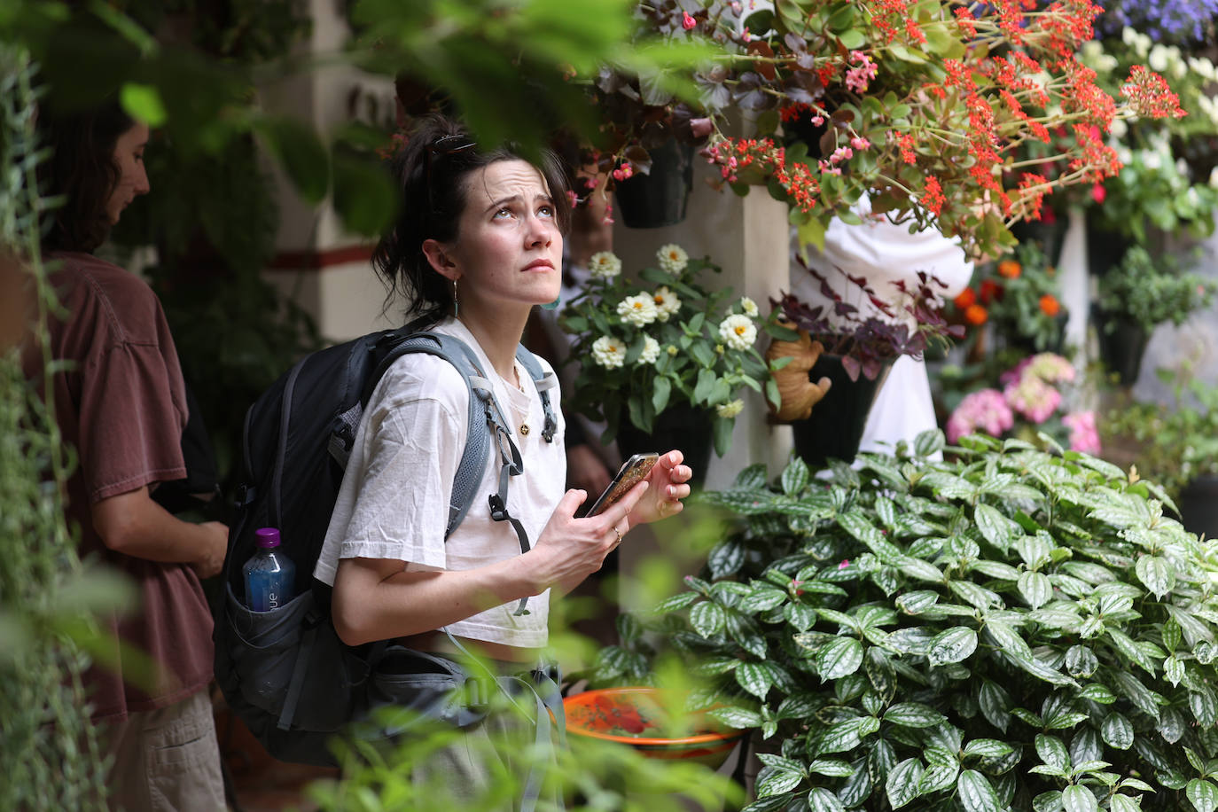 Patios de Córdoba 2023 | La exuberante ruta de San Basilio, en imágenes