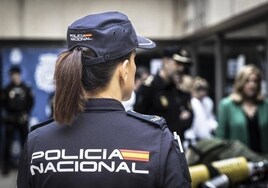 Detenido en Málaga un integrante de la 'Ndrangheta que coordinaba envíos de droga desde España hacia Italia