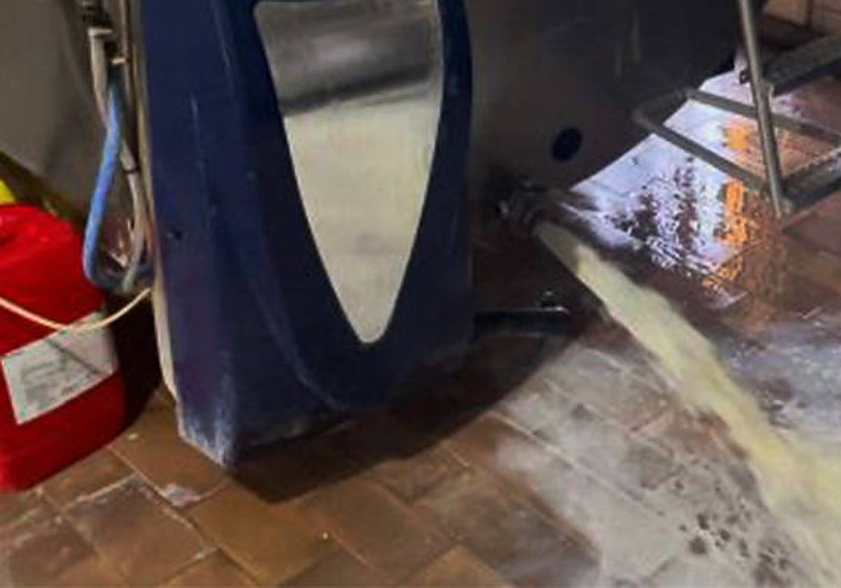 Imagen de leche tirada por los ganaderos esta semana