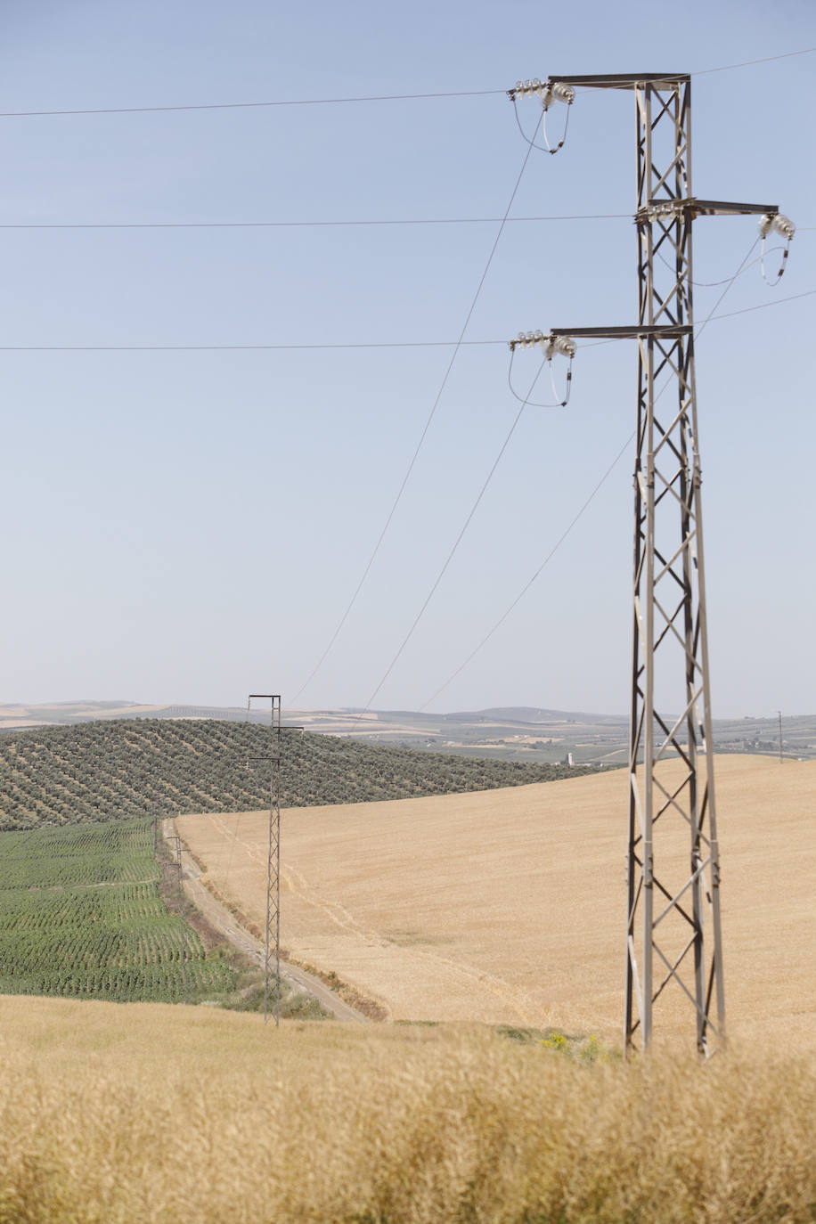 El paisaje de miles de olivos que arrasarían las placas solares en el Alto Guadalquivir, en imágenes
