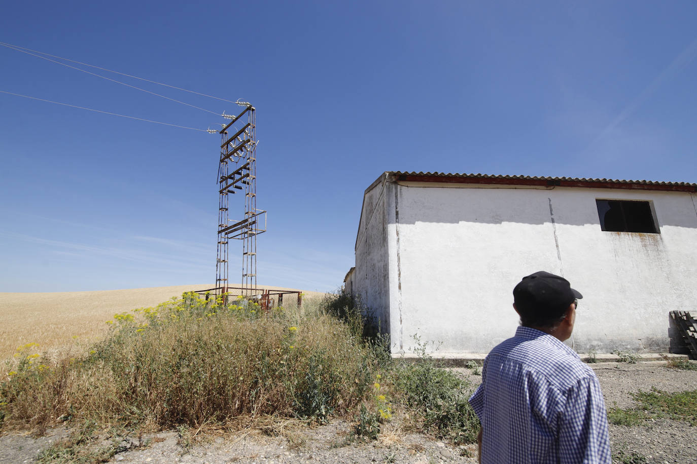 El paisaje de miles de olivos que arrasarían las placas solares en el Alto Guadalquivir, en imágenes
