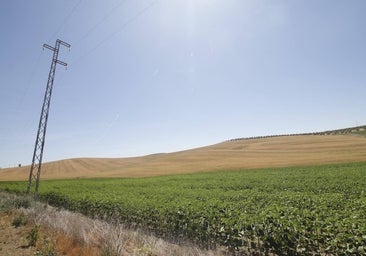 Córdoba tiene 135 proyectos de plantas fotovoltaicas en trámite