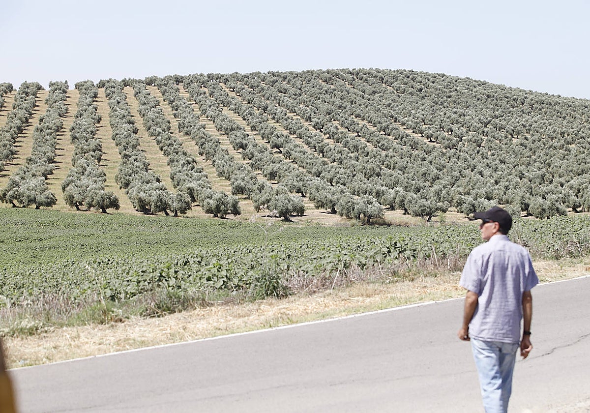 Paisaje de la zona con el rechazo vecinal de Pedro Abad y Bujalance