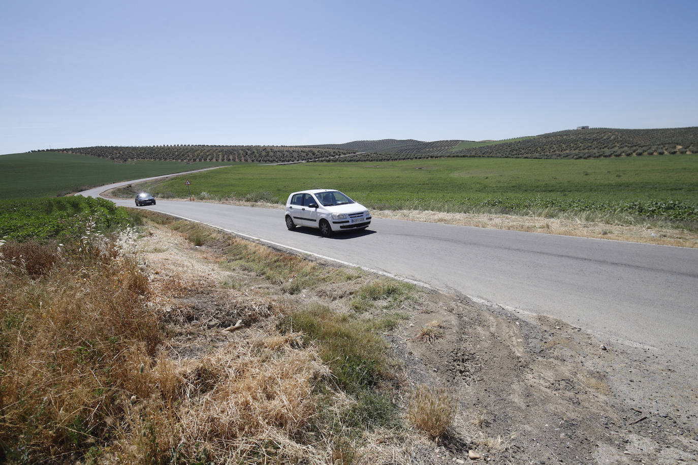 El paisaje de miles de olivos que arrasarían las placas solares en el Alto Guadalquivir, en imágenes