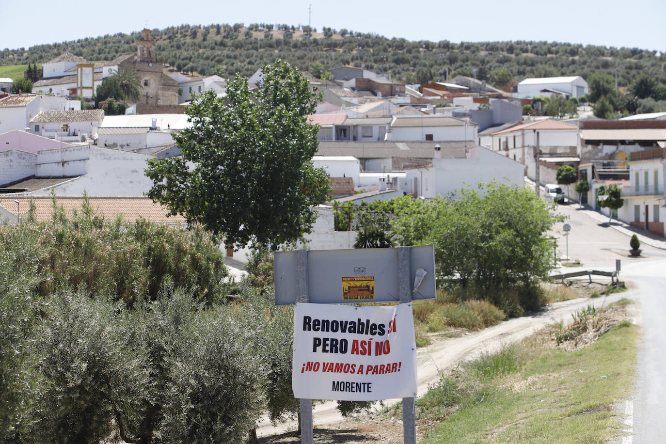 El paisaje de miles de olivos que arrasarían las placas solares en el Alto Guadalquivir, en imágenes