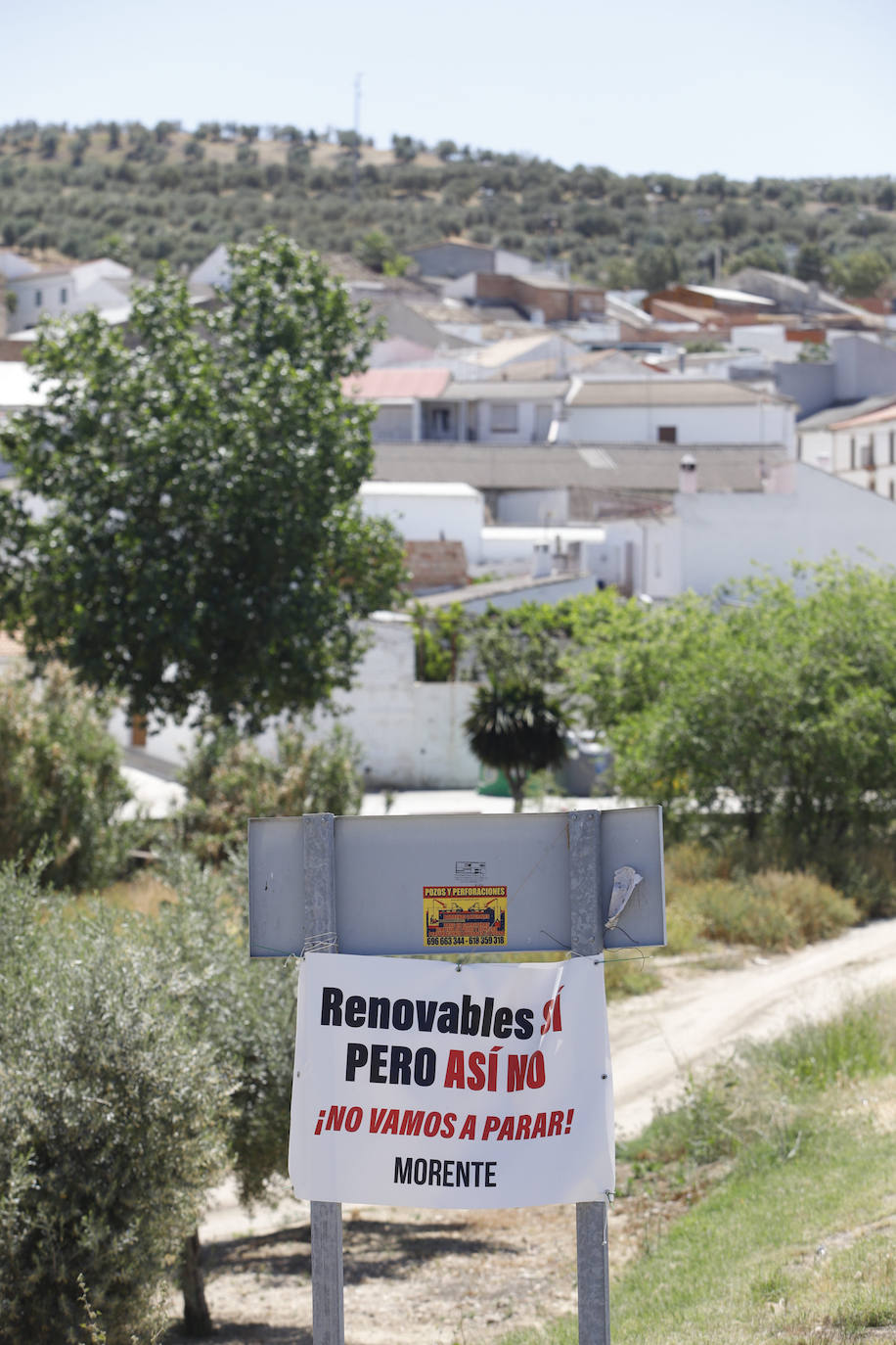 El paisaje de miles de olivos que arrasarían las placas solares en el Alto Guadalquivir, en imágenes