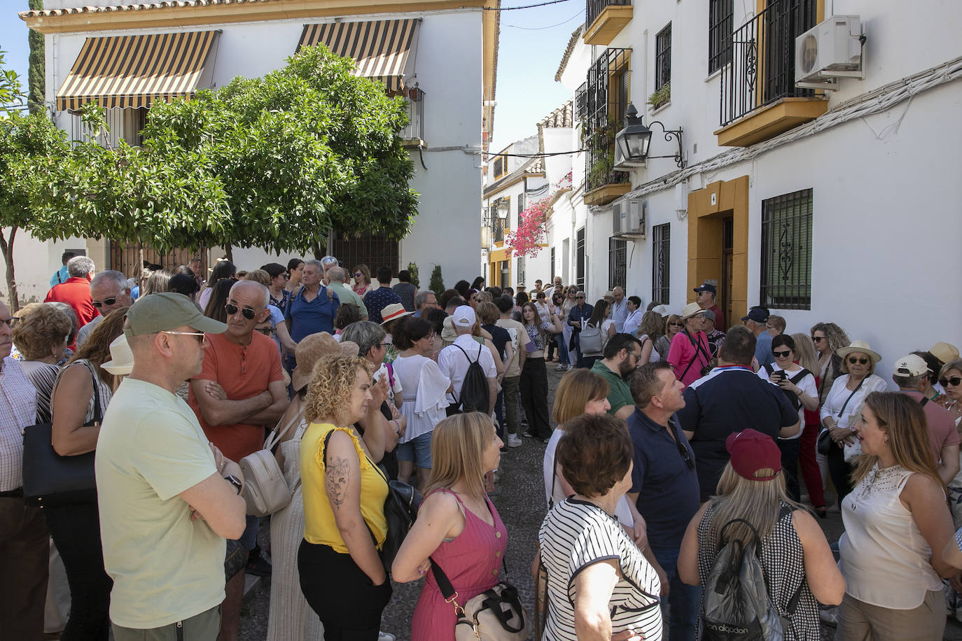 El pletórico sábado de Patios de Córdoba, en imágenes