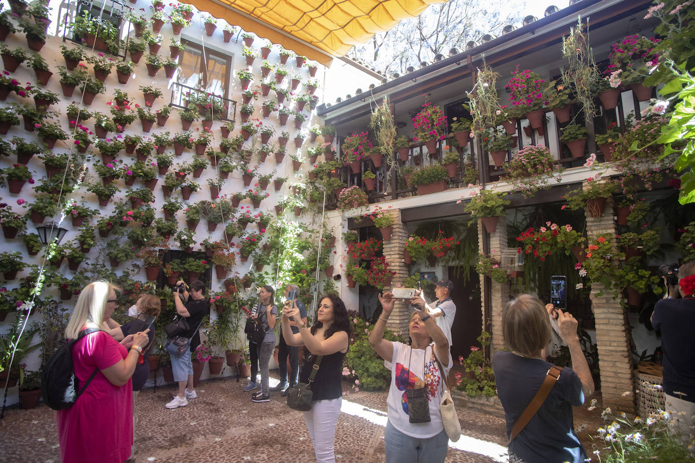 El pletórico sábado de Patios de Córdoba, en imágenes