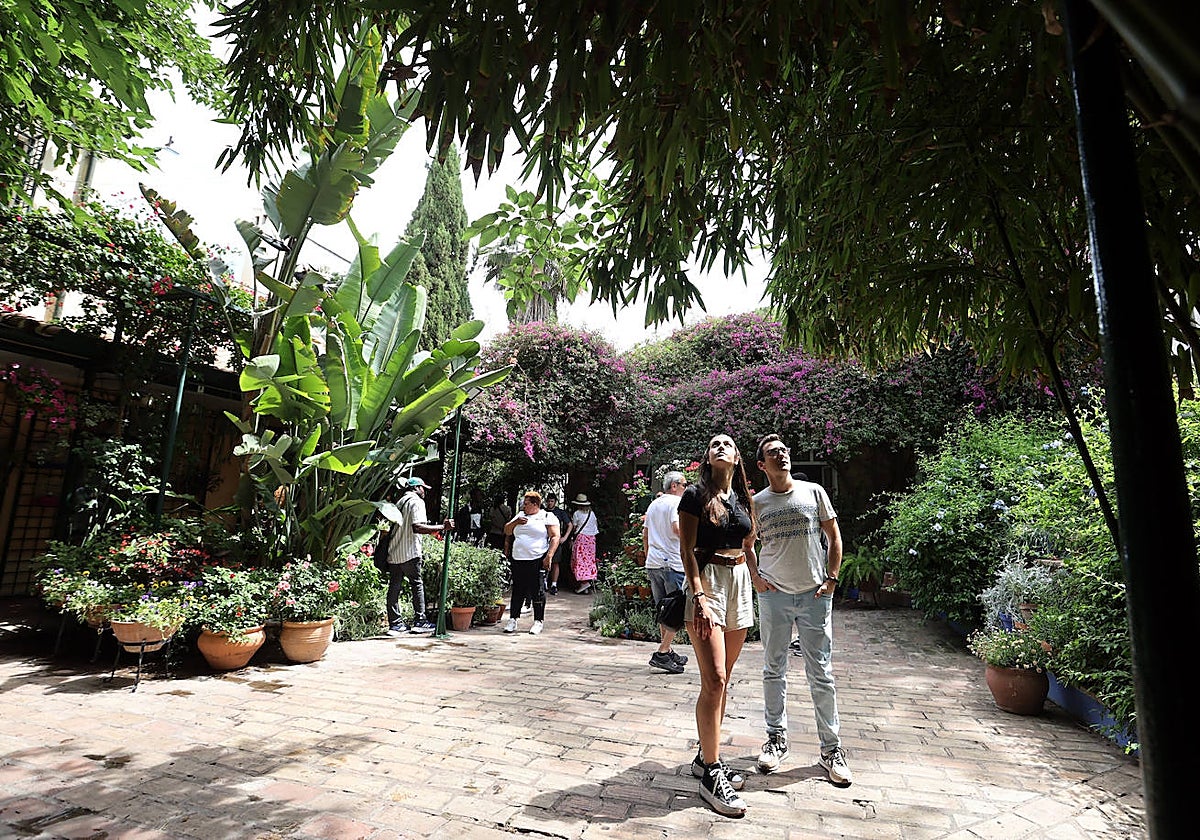 Patio de la plaza de Las Tazas