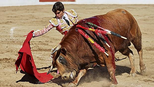 Manuel Román, toreando en Linares