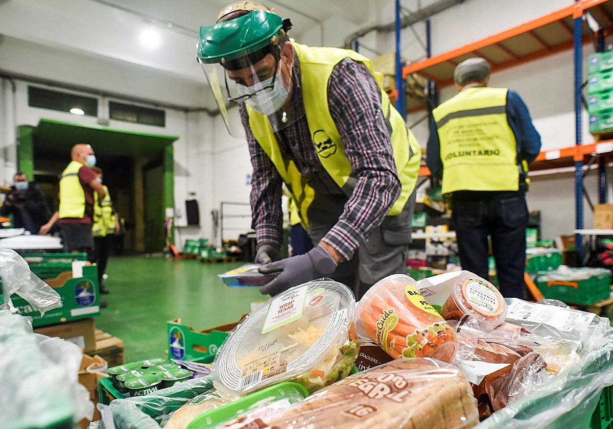 Varios voluntarios clasifican productos en el Banco de Alimentos de Vizcaya