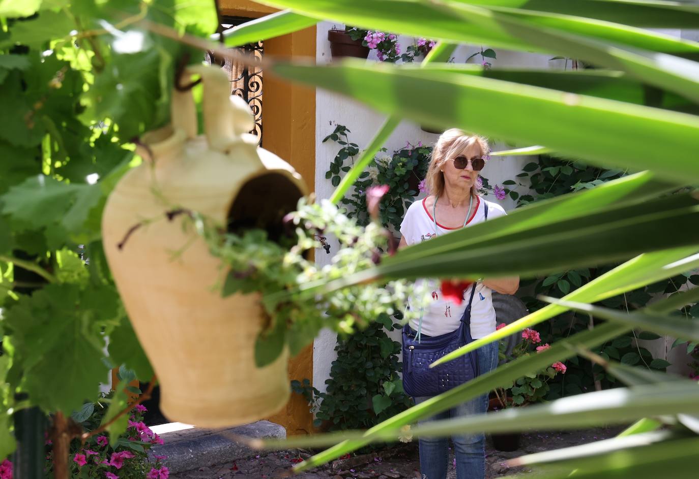 Patios de Córdoba 2023 | La intimidad de la ruta Regina-Realejo, en imágenes