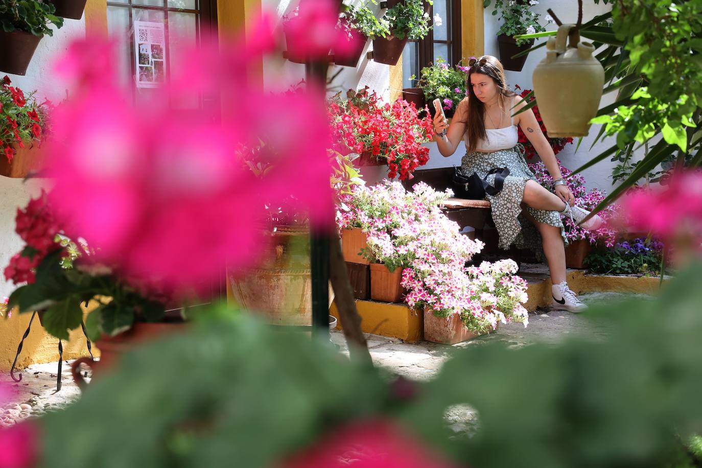 Patios de Córdoba 2023 | La intimidad de la ruta Regina-Realejo, en imágenes