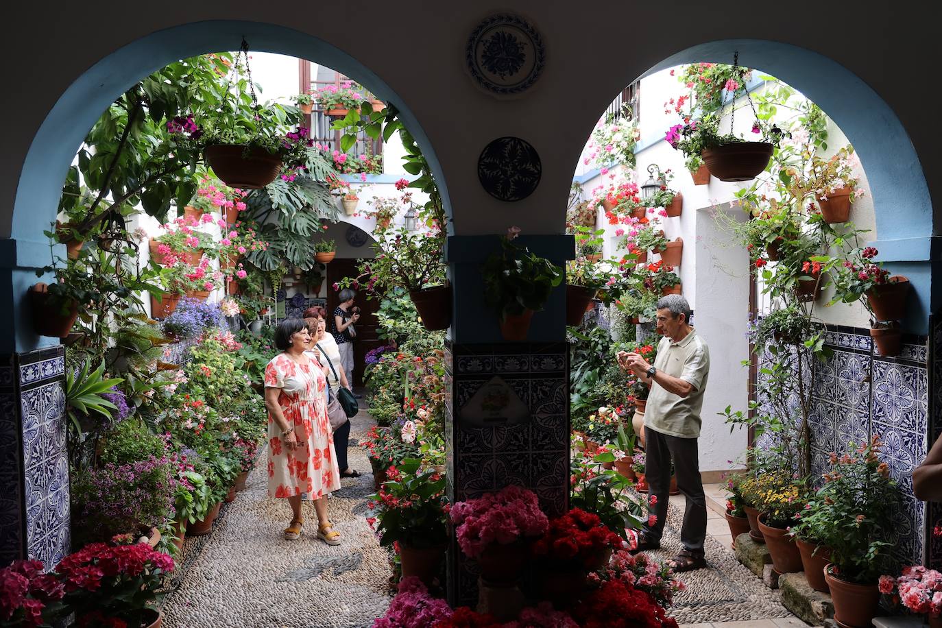 Patios de Córdoba 2023 | La intimidad de la ruta Regina-Realejo, en imágenes