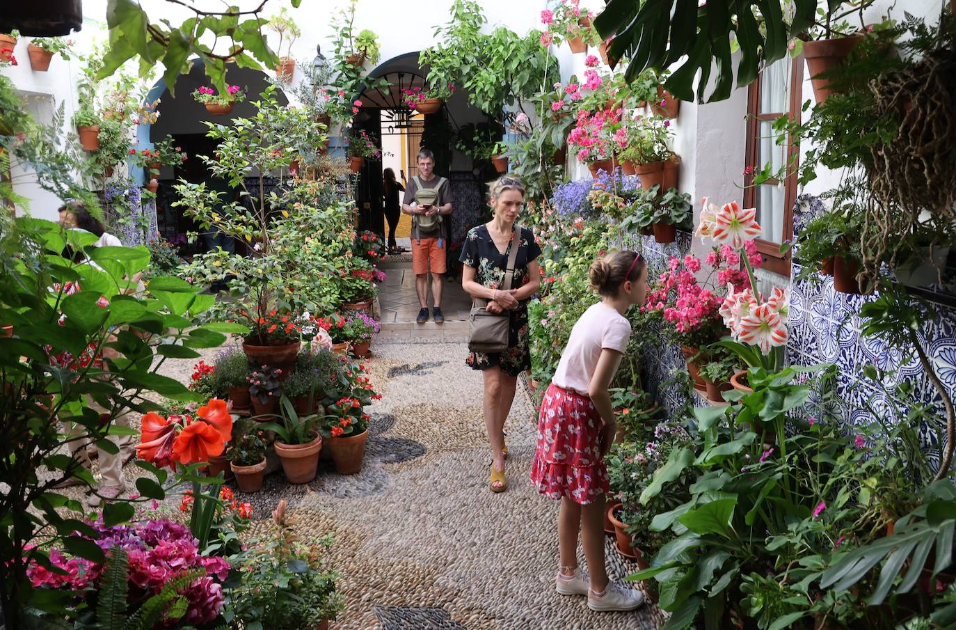 Patios de Córdoba 2023 | La intimidad de la ruta Regina-Realejo, en imágenes