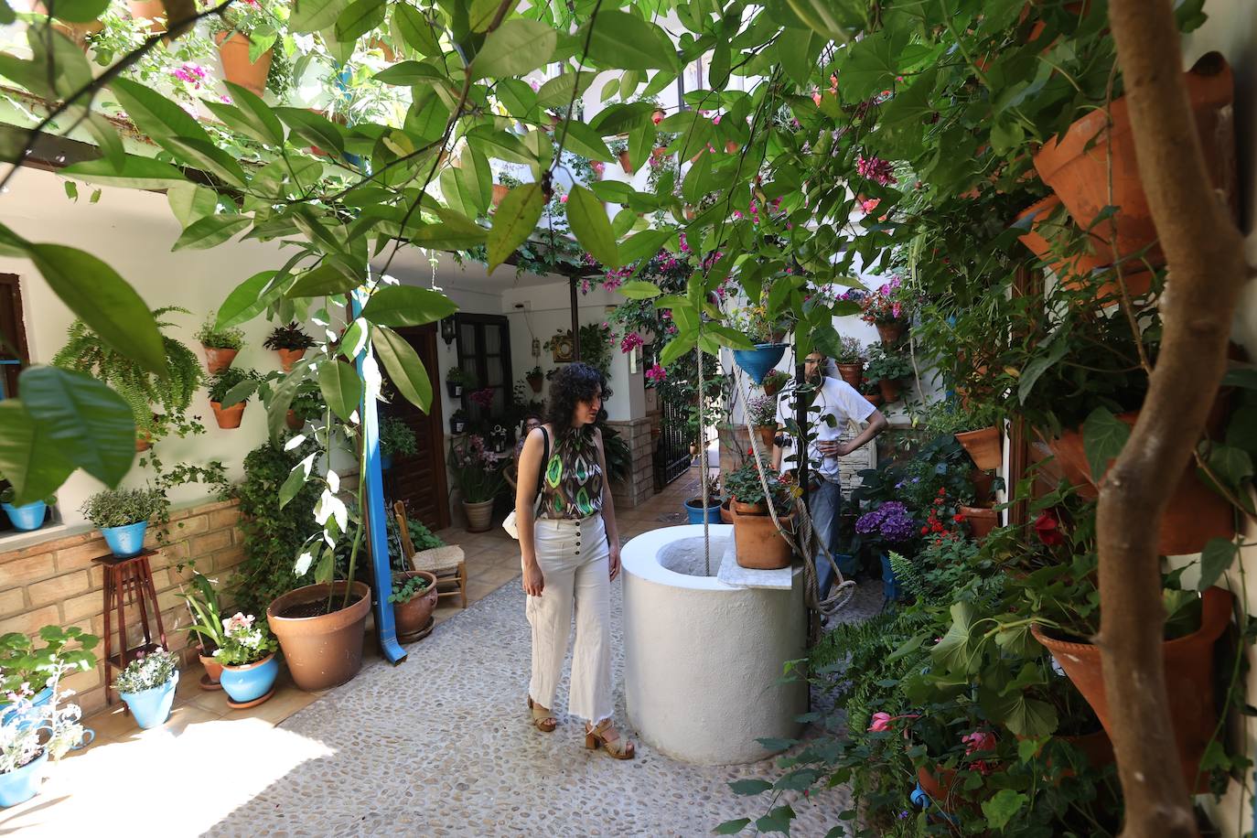 Patios de Córdoba 2023 | La intimidad de la ruta Regina-Realejo, en imágenes