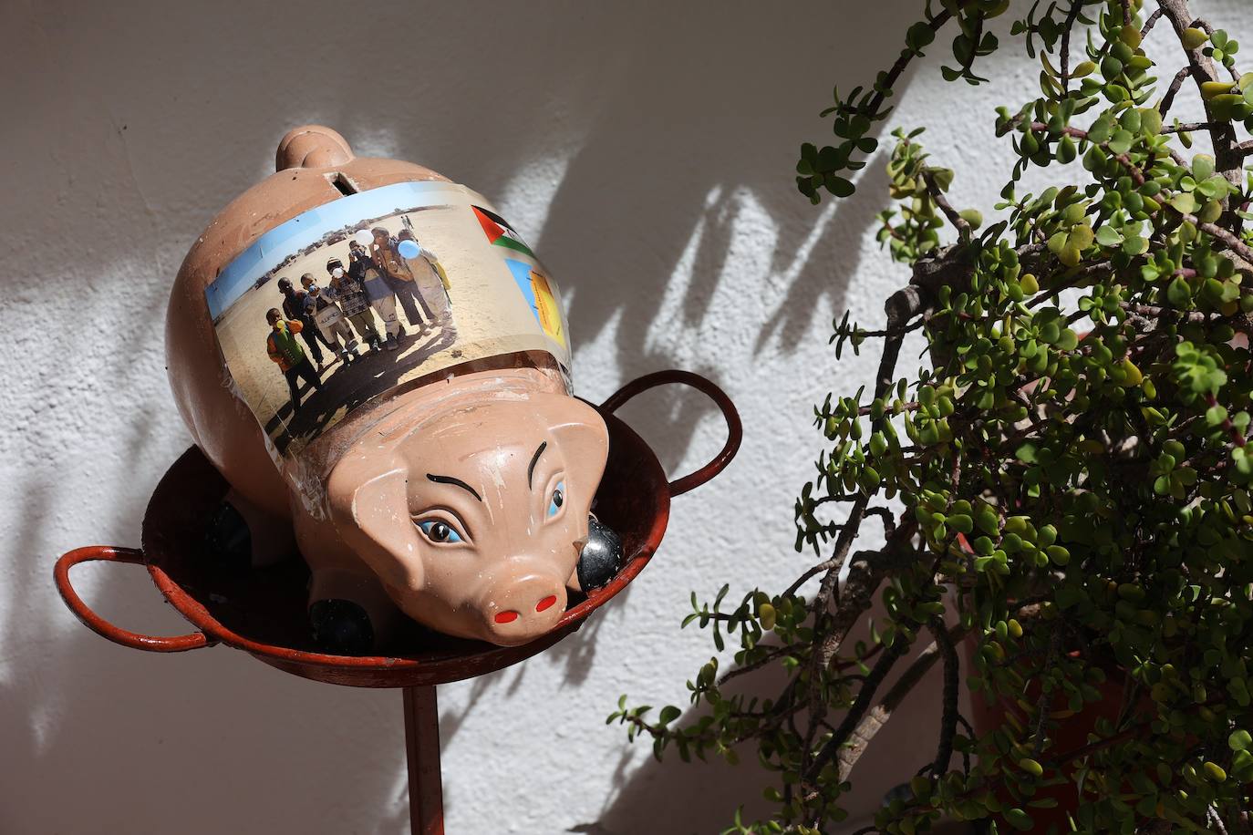 Patios de Córdoba 2023 | La intimidad de la ruta Regina-Realejo, en imágenes