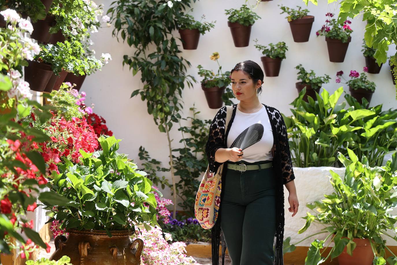 Patios de Córdoba 2023 | La intimidad de la ruta Regina-Realejo, en imágenes