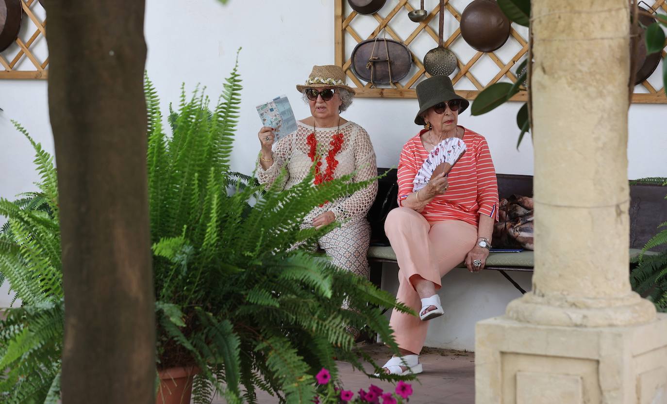 Patios de Córdoba 2023 | La intimidad de la ruta Regina-Realejo, en imágenes