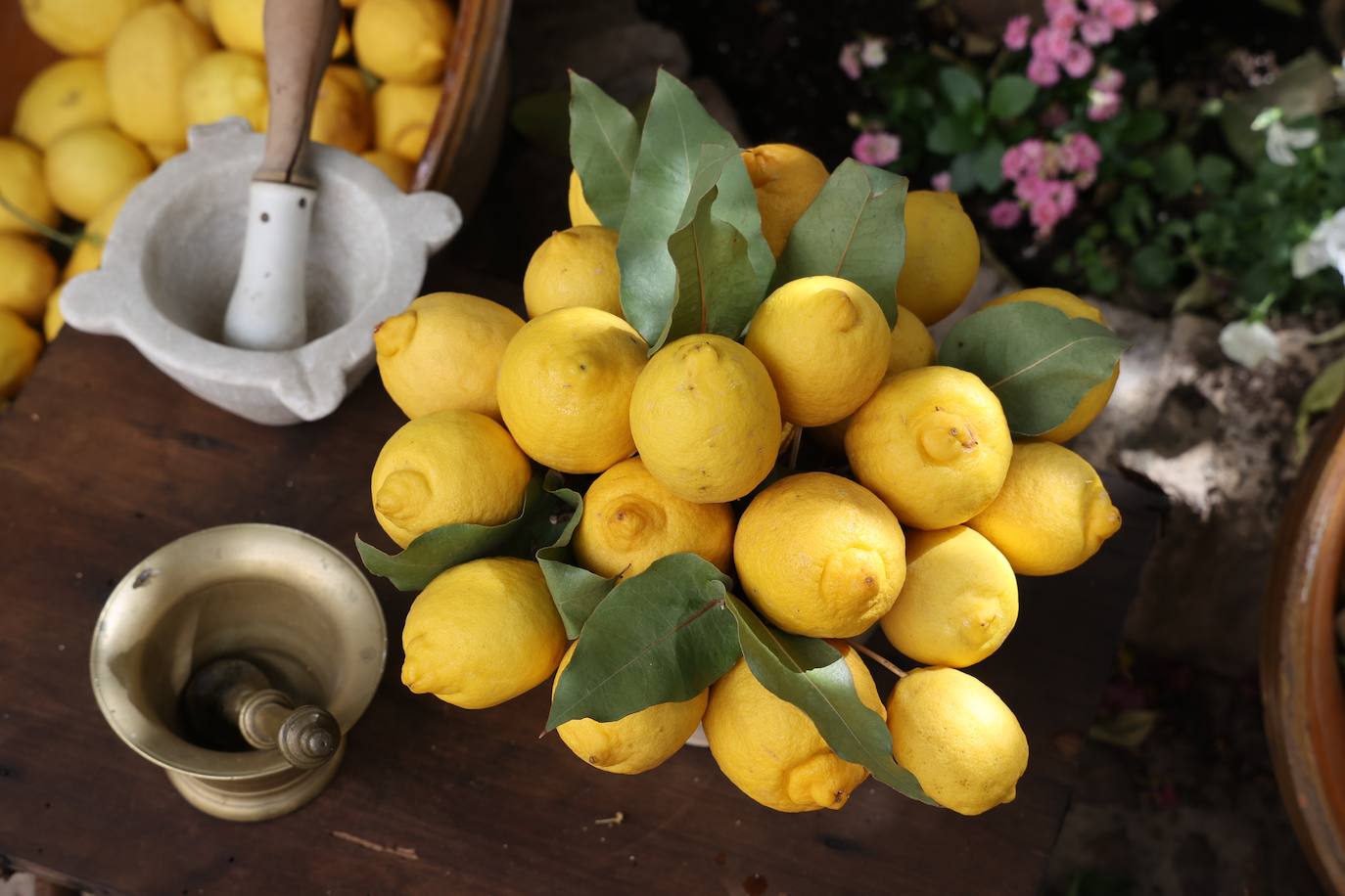 Patios de Córdoba 2023 | La intimidad de la ruta Regina-Realejo, en imágenes