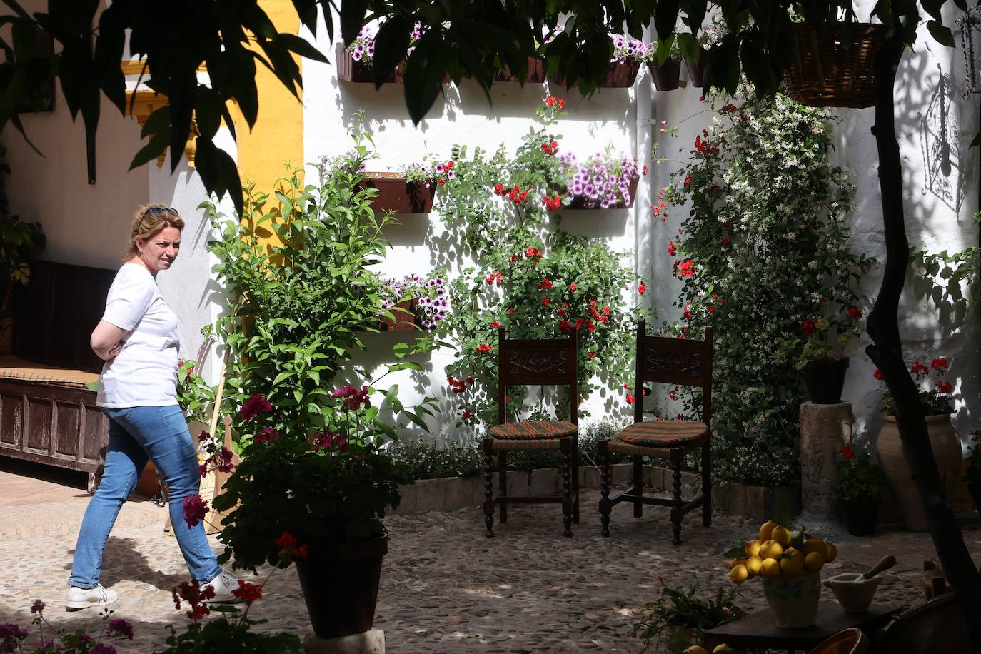 Patios de Córdoba 2023 | La intimidad de la ruta Regina-Realejo, en imágenes