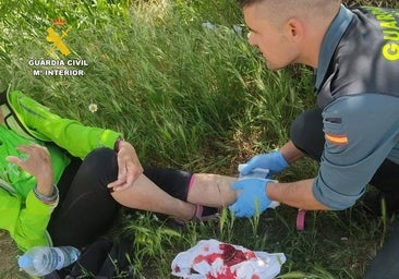 Un perro de pastoreo muerde a una peregrina italiana a su paso por El Perdigón (Zamora) mientras hacía el Camino de Santiago