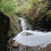 Un vertido en Azuaje pone en peligro una de las joyas naturales de Gran Canaria
