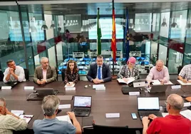 Andalucía apela a la solidaridad entre administraciones para combatir los incendios forestales