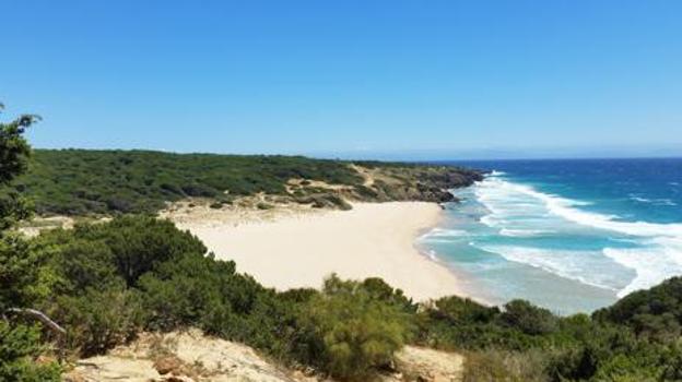 Playa Arroyo del Cañuelo