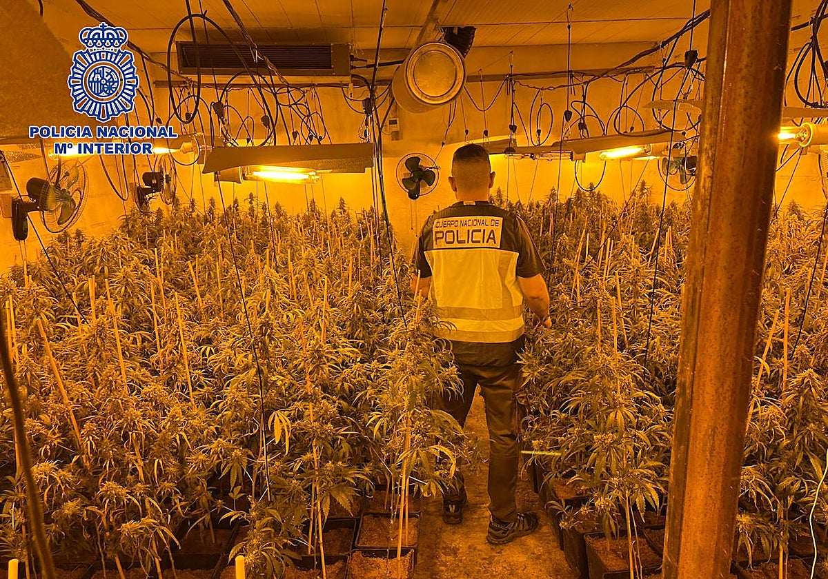 El centro de producción de marihuana estaba ubicado en una nave industrial en la carretera de Calera