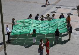 El 'Día de la Cuestación' de la AECC en Córdoba, en imágenes