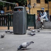 «No podemos ni salir al patio»: la pesadilla de tener una vecina que alimenta tres veces al día a centenares de palomas