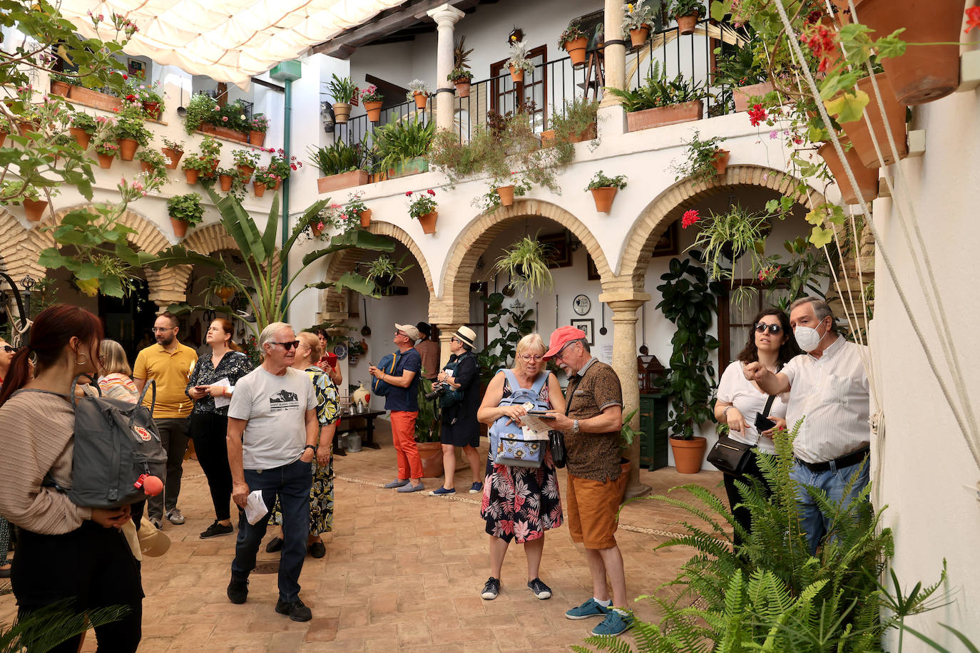 Patios Córdoba 2023 | Los detalles de la ruta Judería-San Francisco, en imágenes