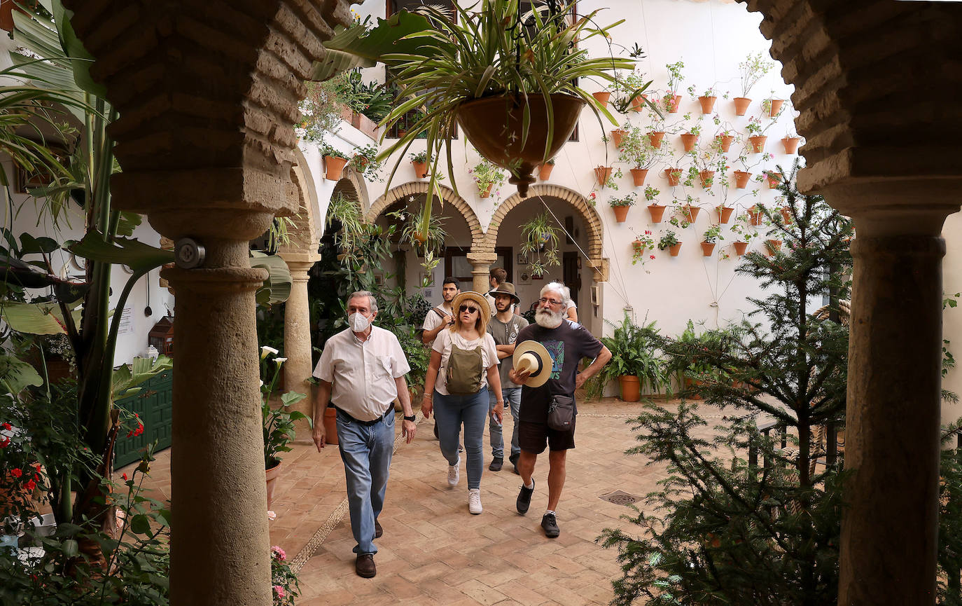 Patios Córdoba 2023 | Los detalles de la ruta Judería-San Francisco, en imágenes