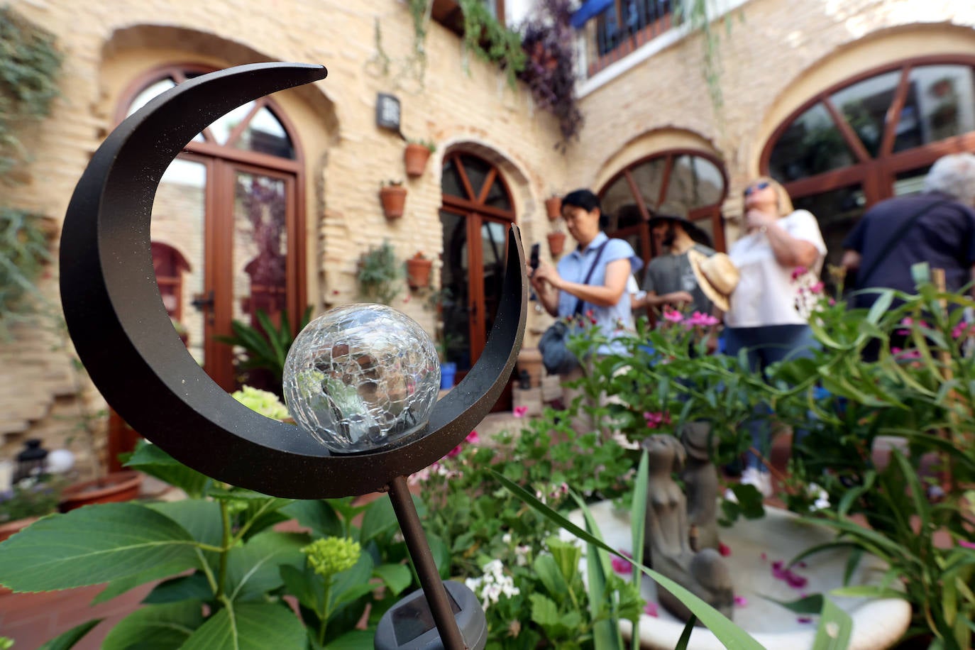 Patios Córdoba 2023 | Los detalles de la ruta Judería-San Francisco, en imágenes