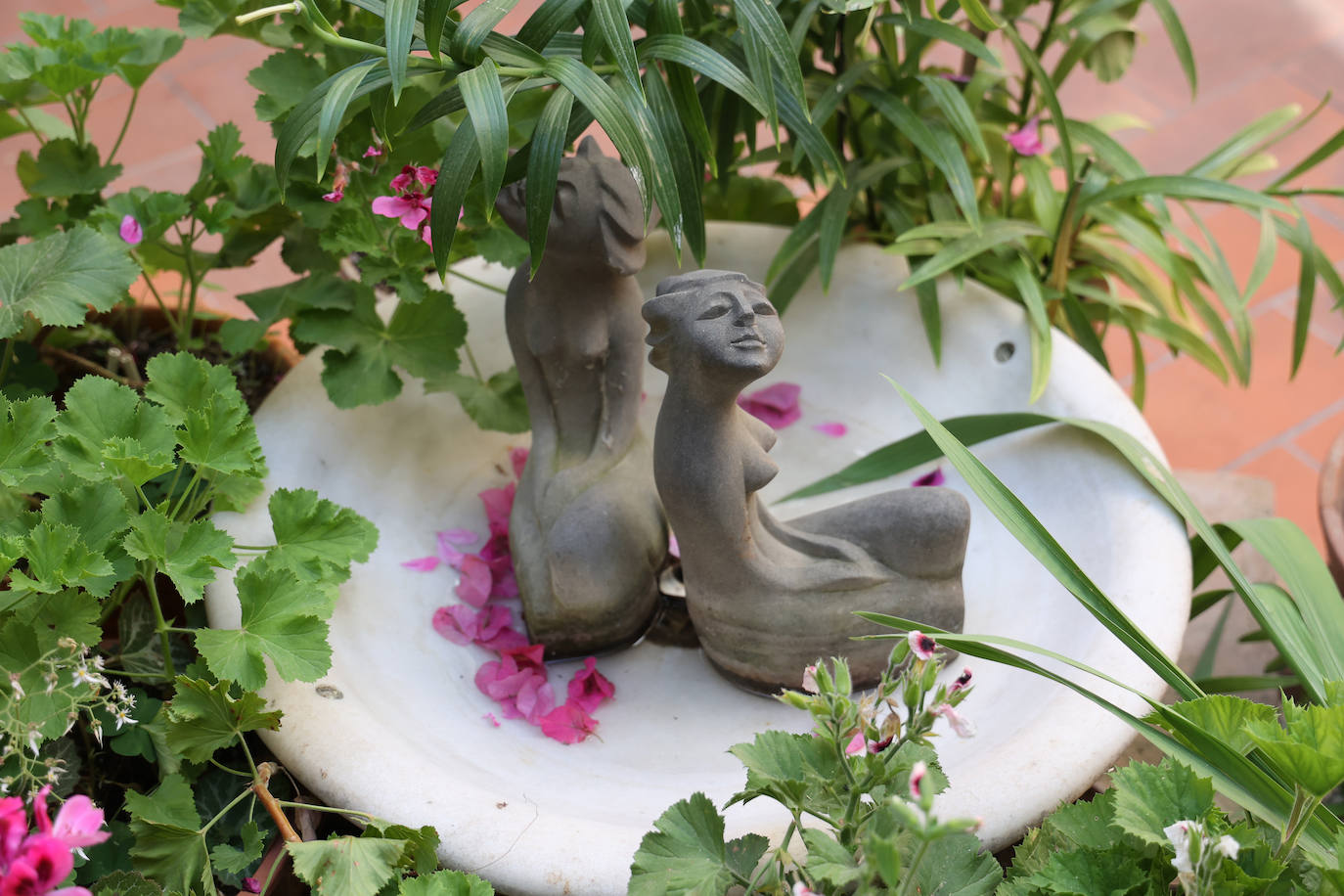 Patios Córdoba 2023 | Los detalles de la ruta Judería-San Francisco, en imágenes